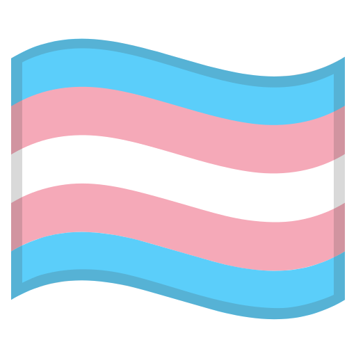 transFlag